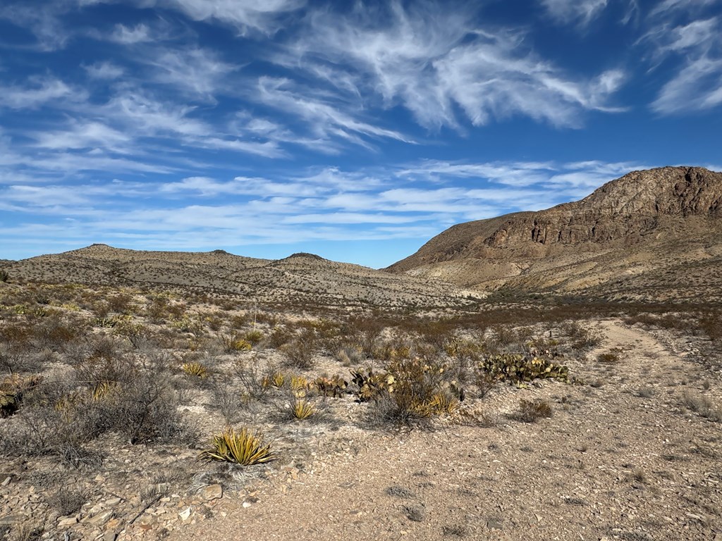 480 Kiss Avenue, Terlingua, Texas image 4