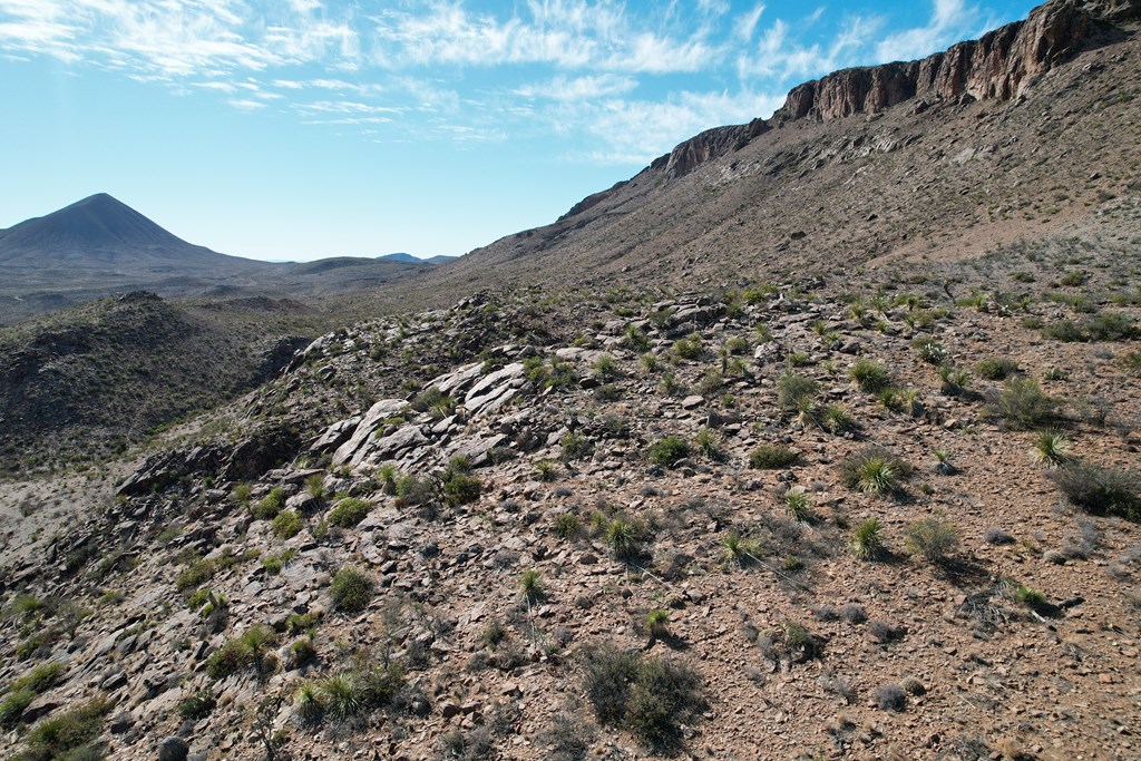 480 Kiss Avenue, Terlingua, Texas image 12