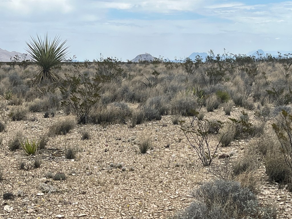 14570 Alpha, Terlingua, Texas image 7