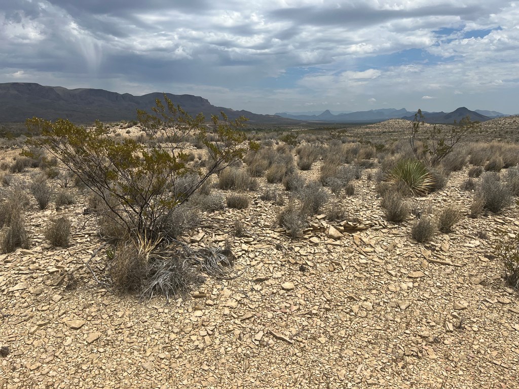 14570 Alpha, Terlingua, Texas image 4