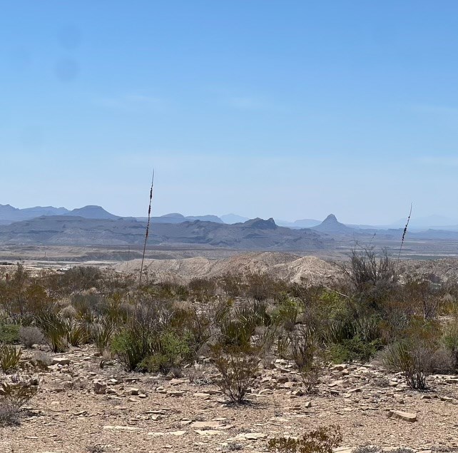 450 Saw Mill Road, Terlingua, Texas image 2