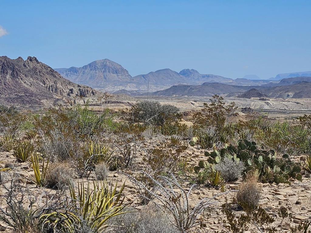 450 Saw Mill Road, Terlingua, Texas image 1