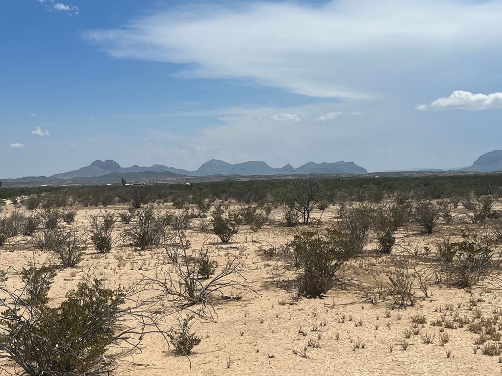 15208 N Lowery-key Rd, Terlingua, Texas image 4