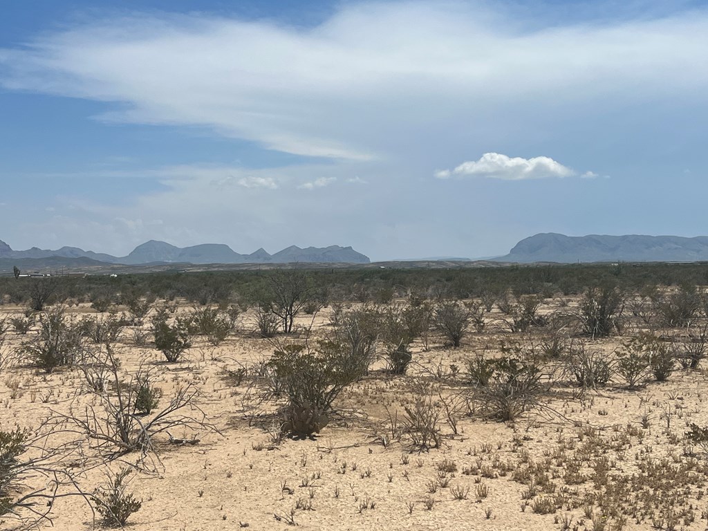 15208 N Lowery-key Rd, Terlingua, Texas image 3