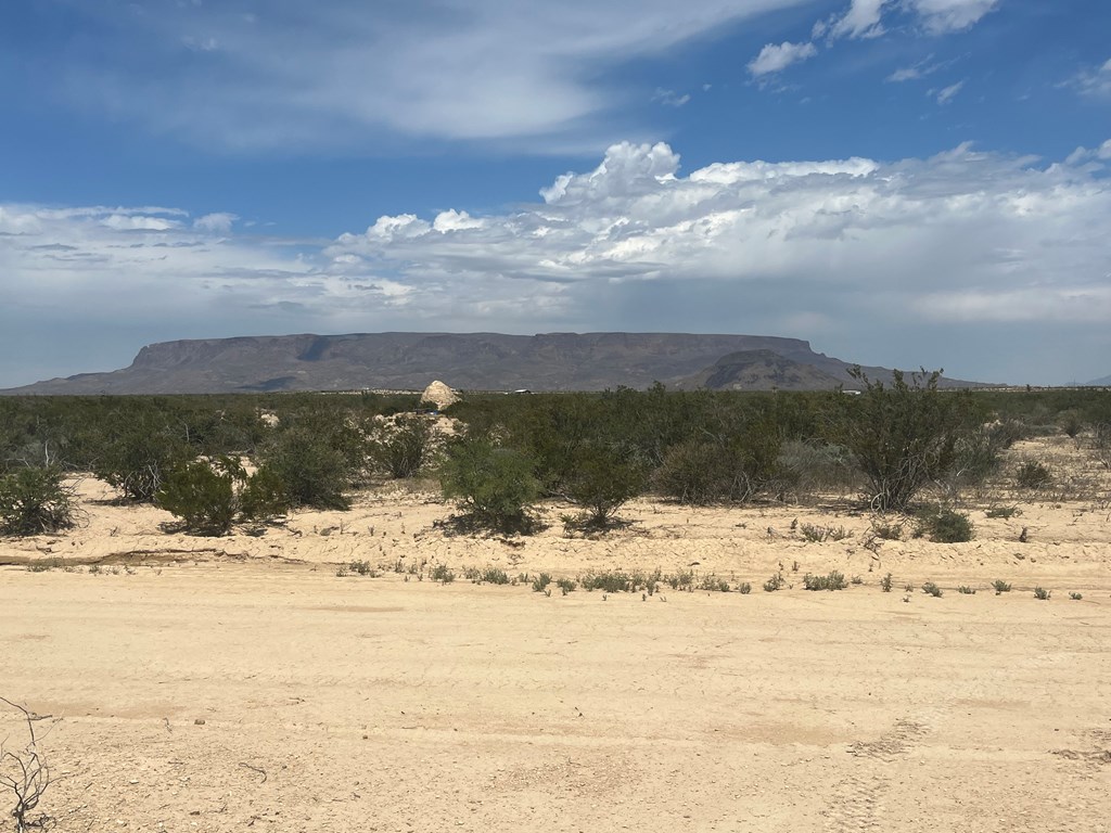 15208 N Lowery-key Rd, Terlingua, Texas image 2