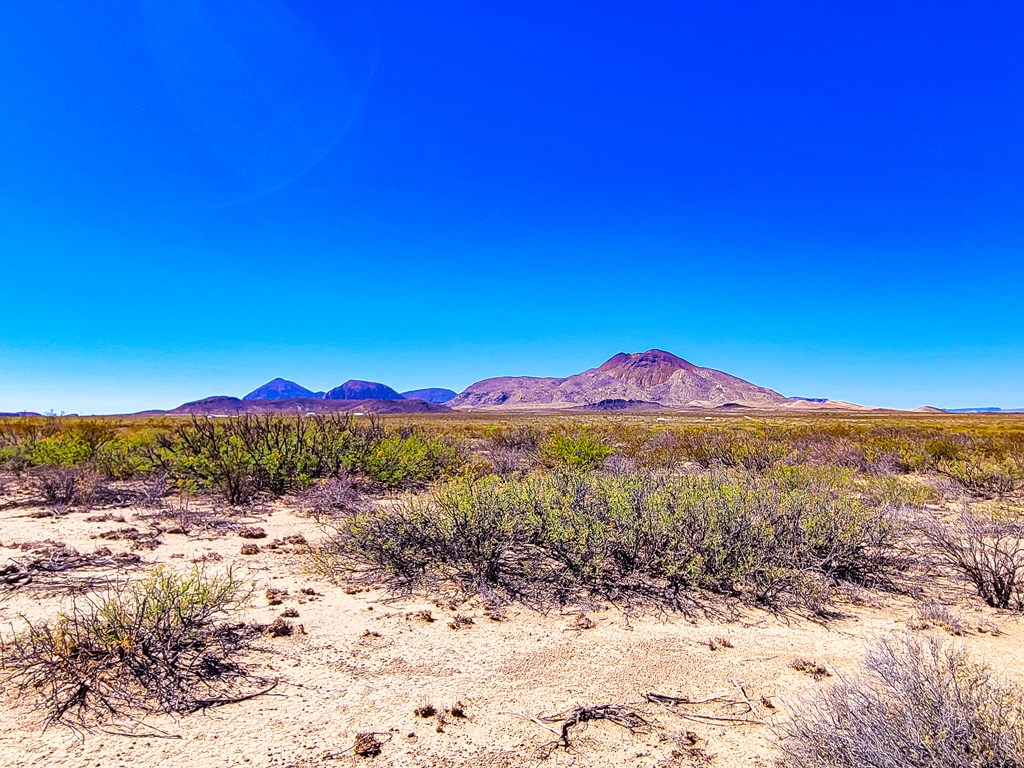 17250 Private Rd, Terlingua, Texas image 2