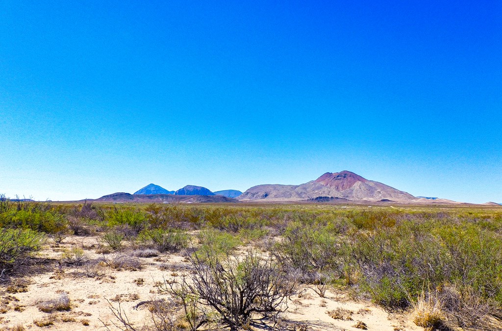 17250 Private Rd, Terlingua, Texas image 6