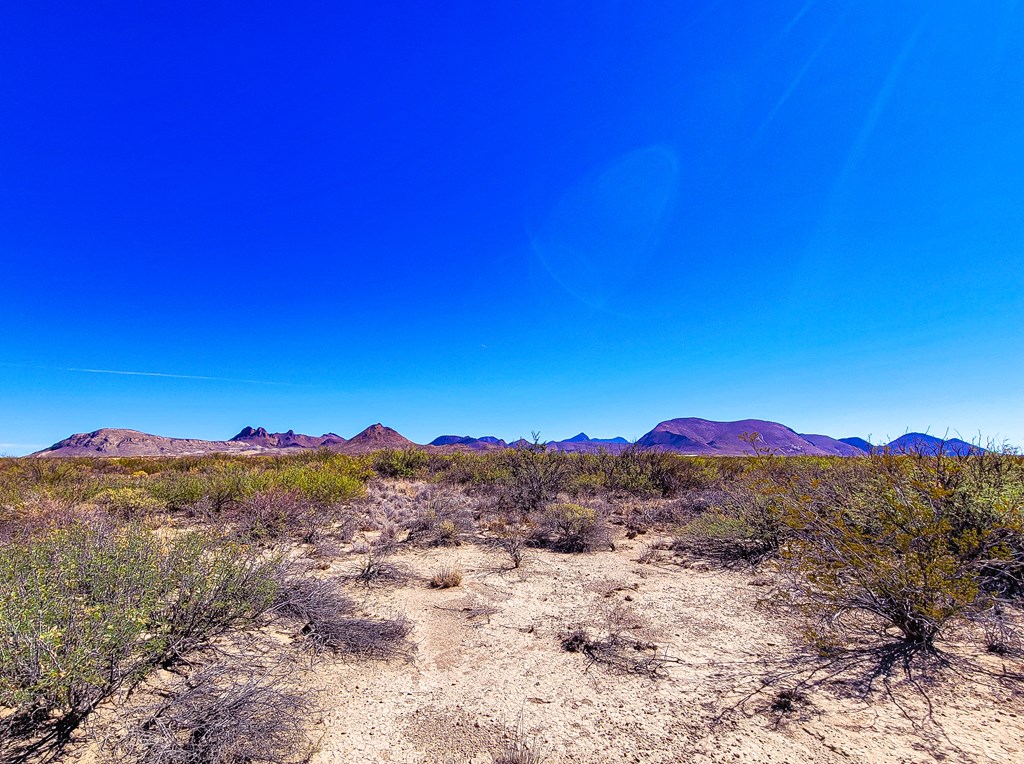 17250 Private Rd, Terlingua, Texas image 3