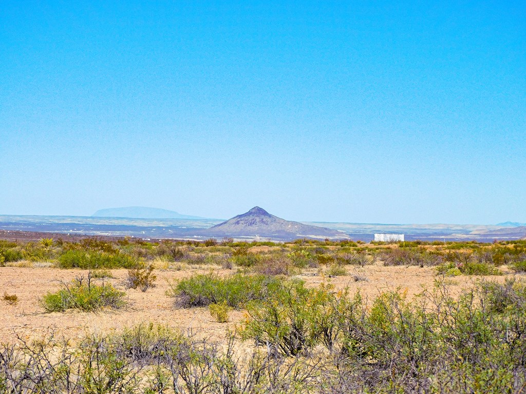 17250 Private Rd, Terlingua, Texas image 7