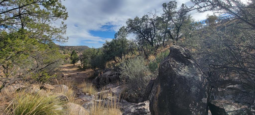 109 High Meadow Trail, Fort Davis, Texas image 36