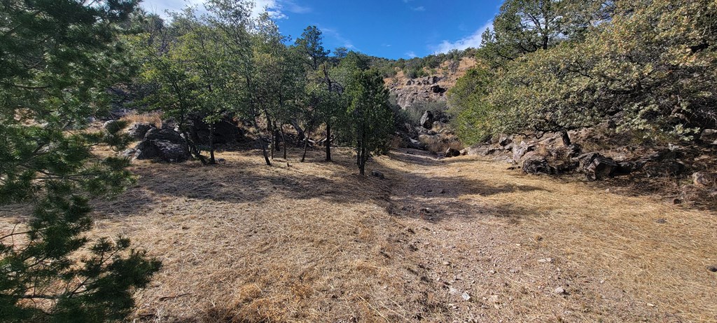 109 High Meadow Trail, Fort Davis, Texas image 45