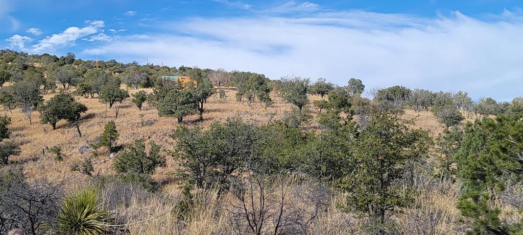 109 High Meadow Trail, Fort Davis, Texas image 28