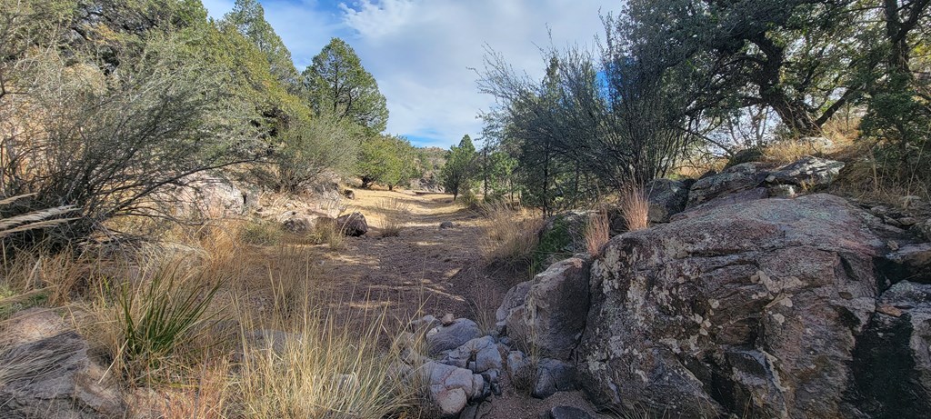 109 High Meadow Trail, Fort Davis, Texas image 47