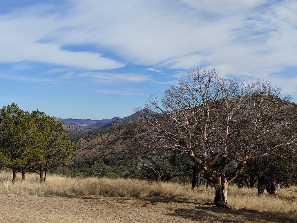 109 High Meadow Trail, Fort Davis, Texas image 24