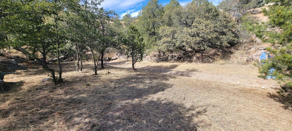 109 High Meadow Trail, Fort Davis, Texas image 44