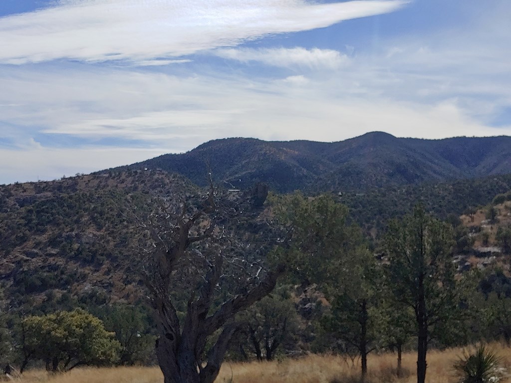 109 High Meadow Trail, Fort Davis, Texas image 4