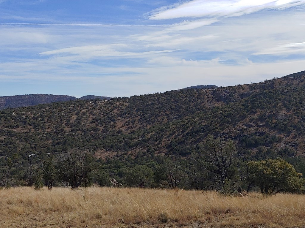 109 High Meadow Trail, Fort Davis, Texas image 23