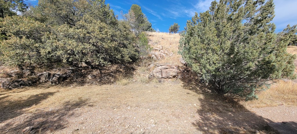 109 High Meadow Trail, Fort Davis, Texas image 46