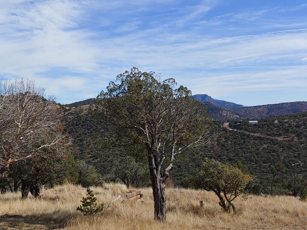 109 High Meadow Trail, Fort Davis, Texas image 21