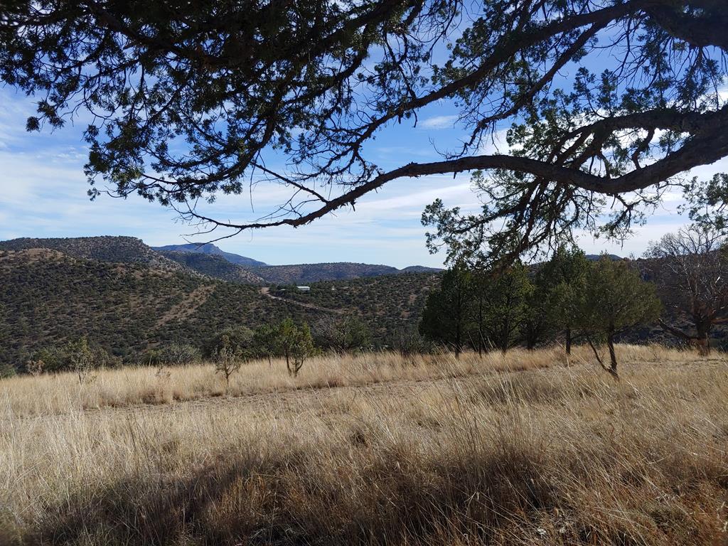 109 High Meadow Trail, Fort Davis, Texas image 22