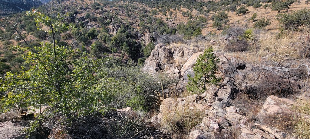 109 High Meadow Trail, Fort Davis, Texas image 43