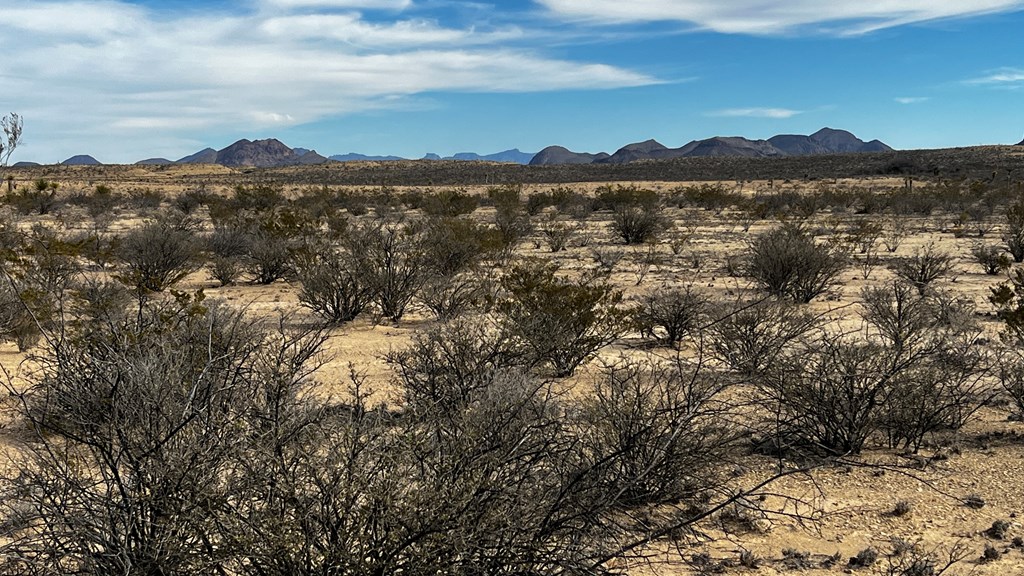 13962 Rancho Manana Loop, Terlingua, Texas image 4