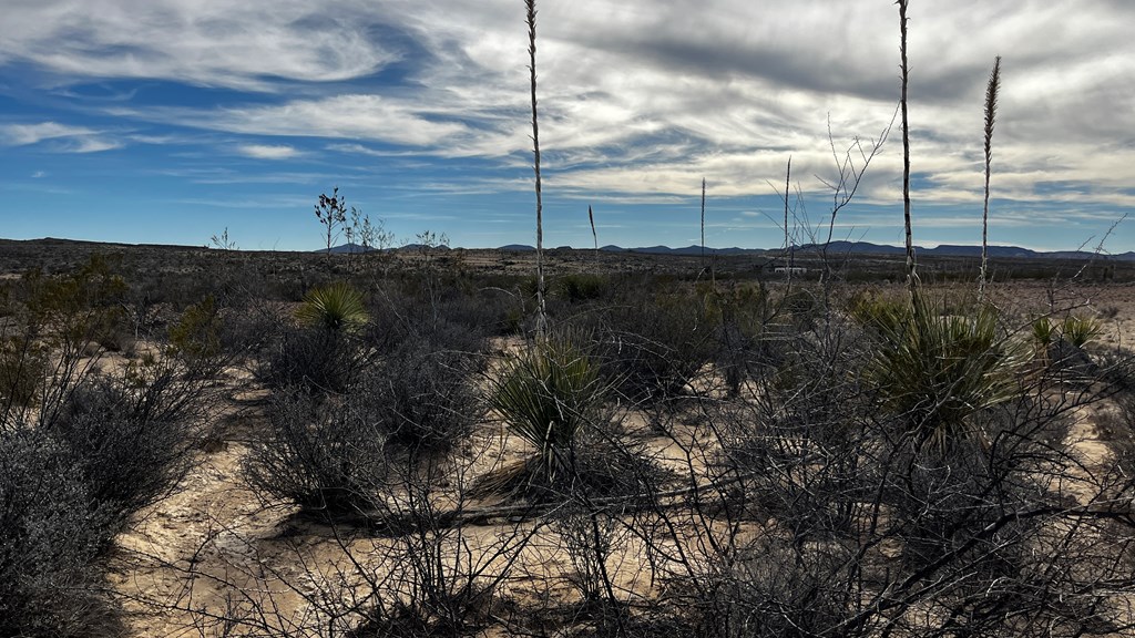 13962 Rancho Manana Loop, Terlingua, Texas image 5