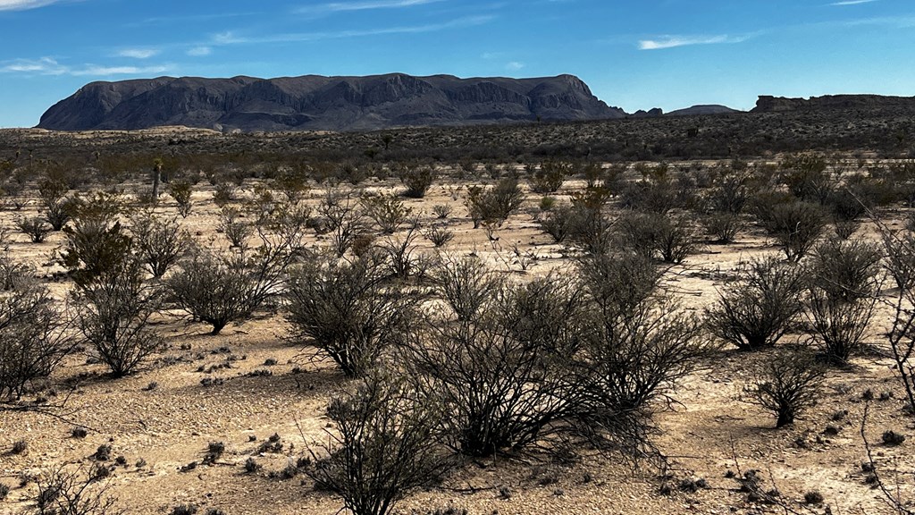 13962 Rancho Manana Loop, Terlingua, Texas image 3