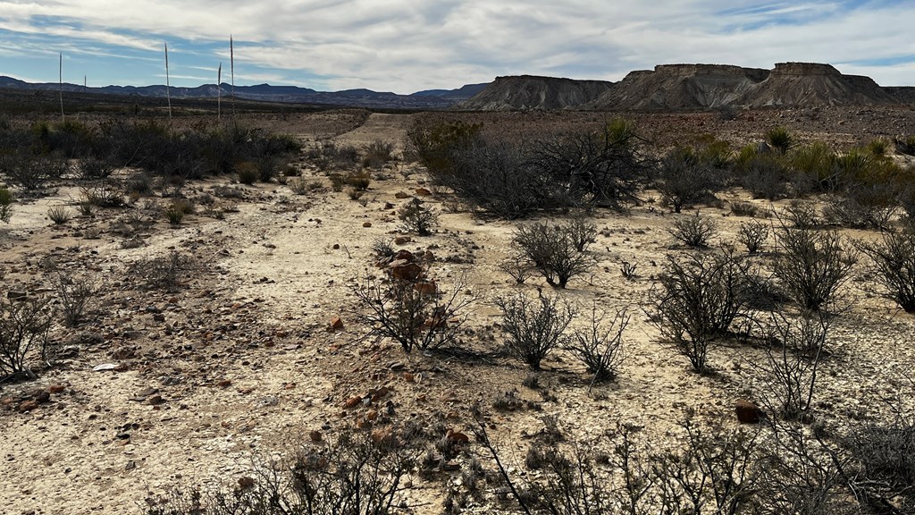 13962 Rancho Manana Loop, Terlingua, Texas image 2