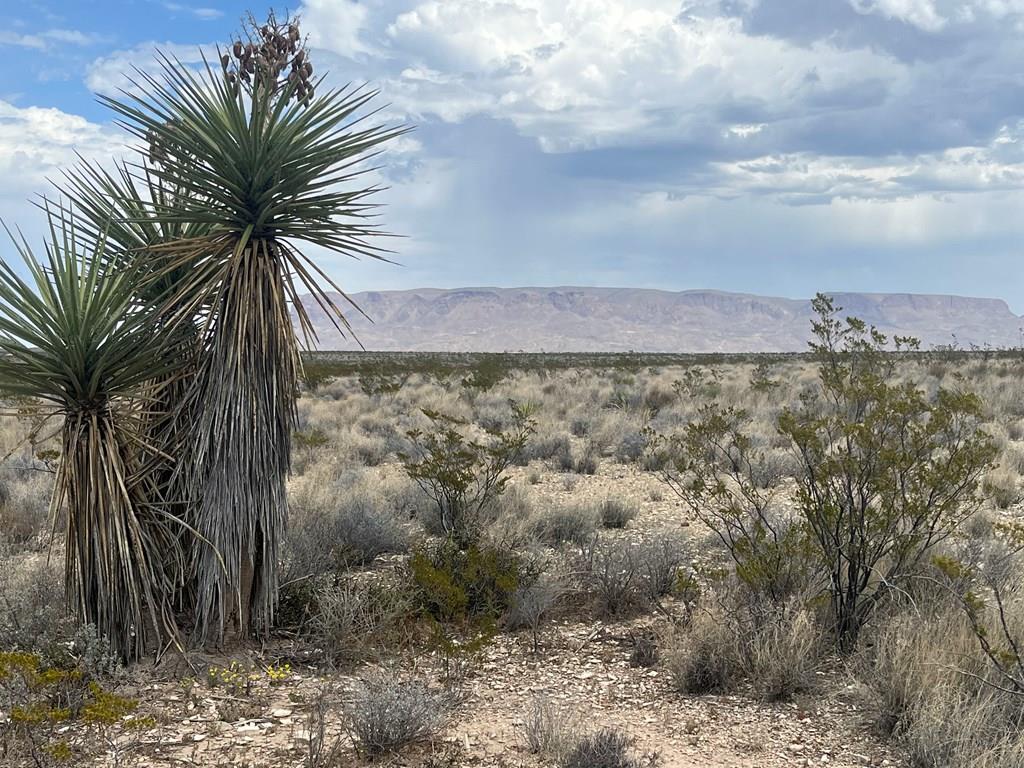 14570 Alpha, Terlingua, Texas image 1