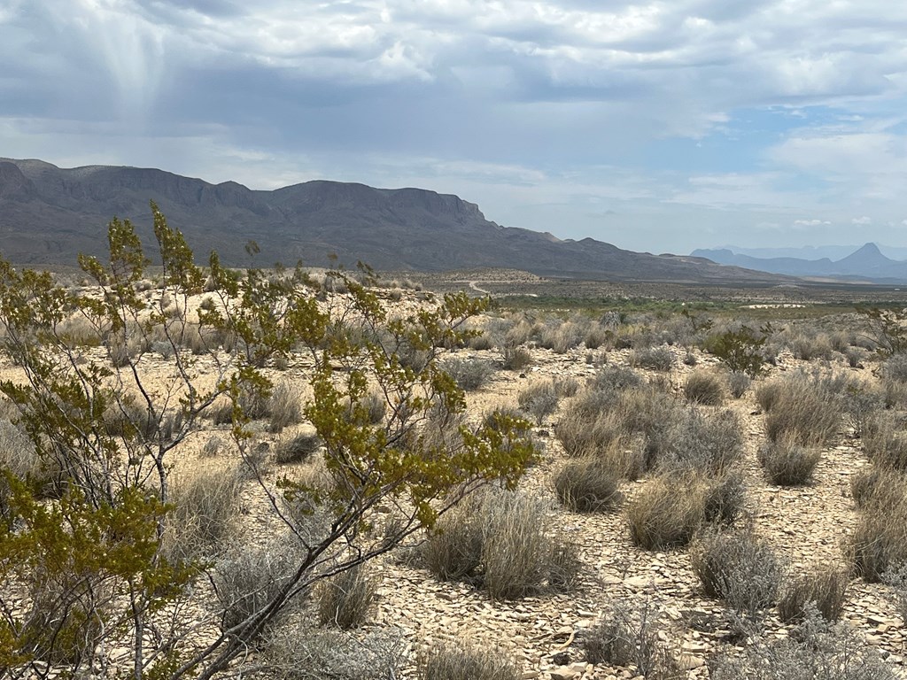 14570 Alpha, Terlingua, Texas image 3