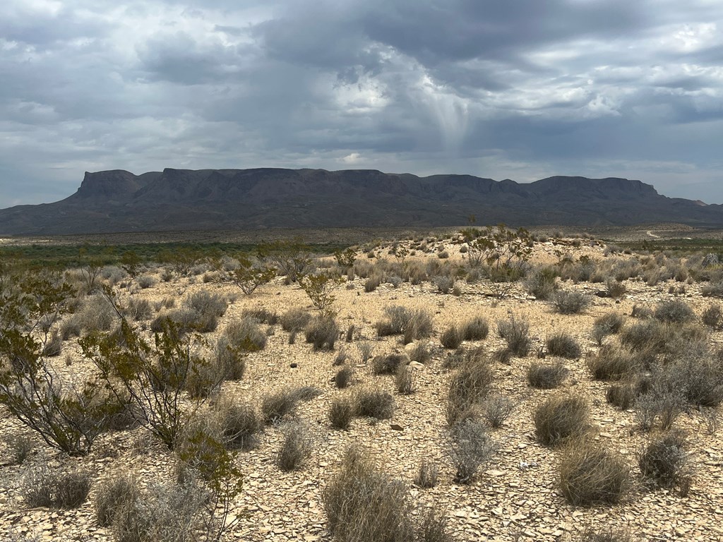 14570 Alpha, Terlingua, Texas image 6