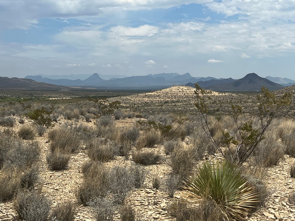 14570 Alpha, Terlingua, Texas image 5