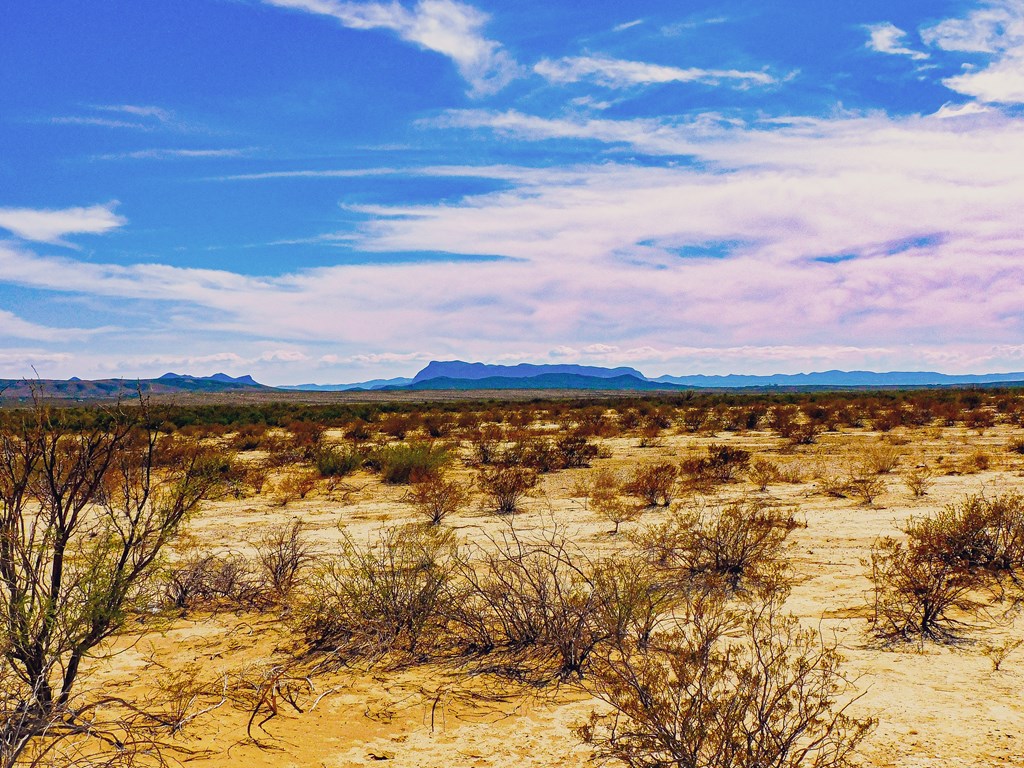 16027 Red Bluff Circle, Terlingua, Texas image 4