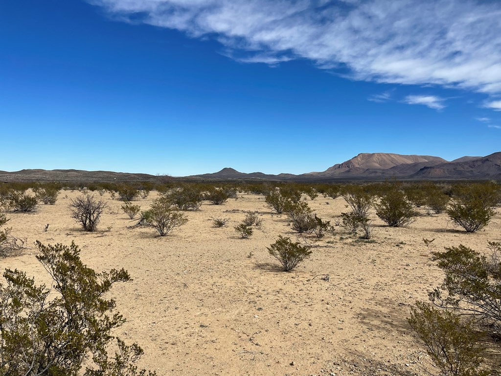 TR:604C Ltm Rd, Terlingua, Texas image 4