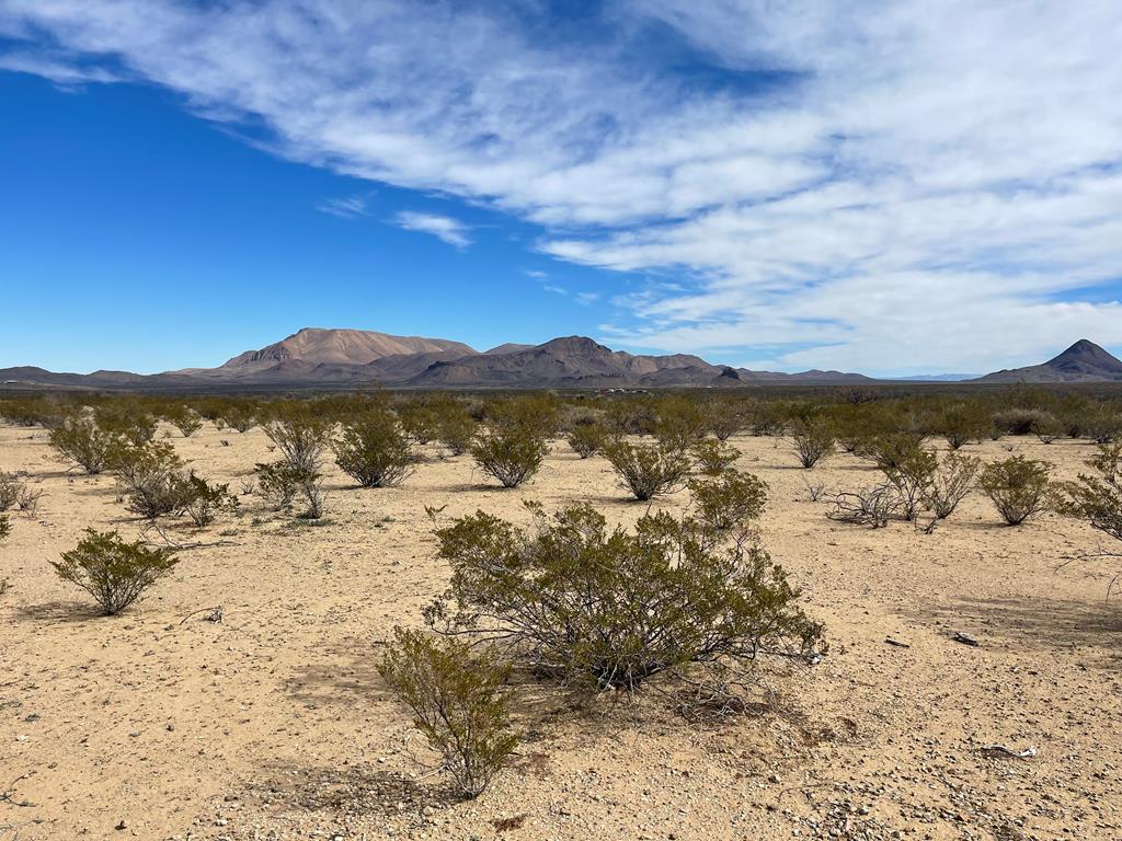 TR:604C Ltm Rd, Terlingua, Texas image 1