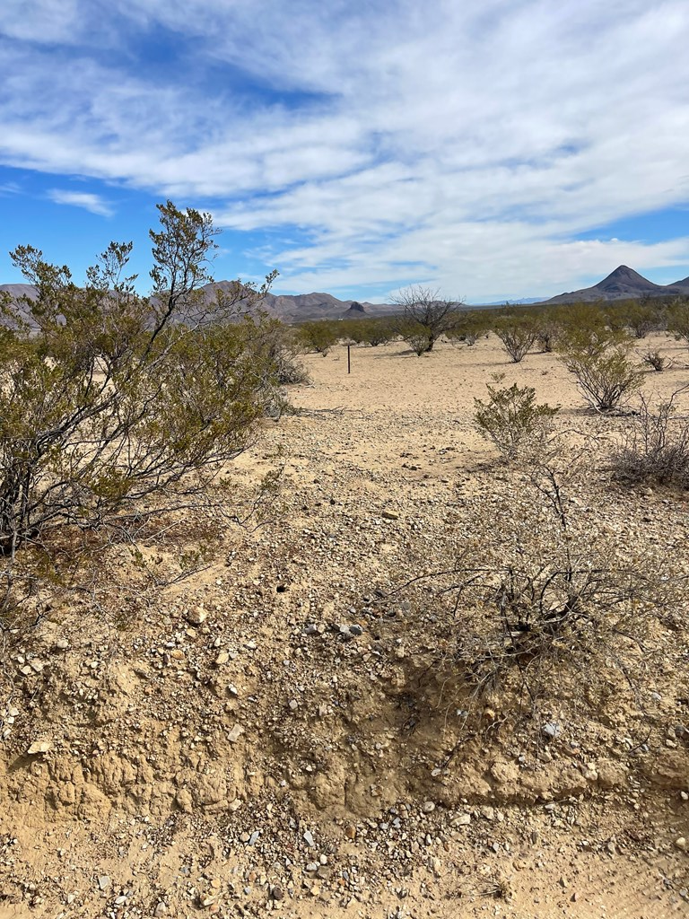 TR:604C Ltm Rd, Terlingua, Texas image 12