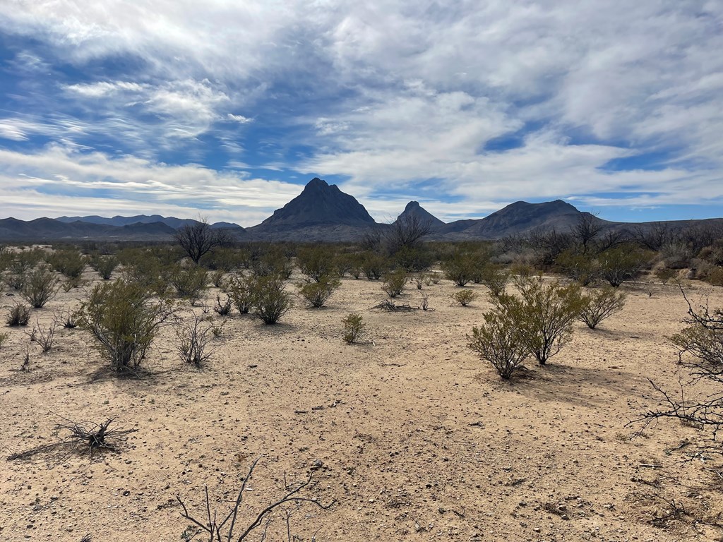 TR:604C Ltm Rd, Terlingua, Texas image 3