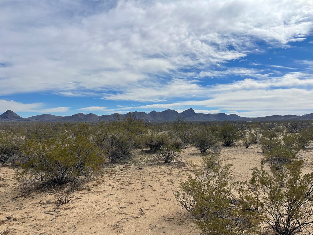 TR:604C Ltm Rd, Terlingua, Texas image 10