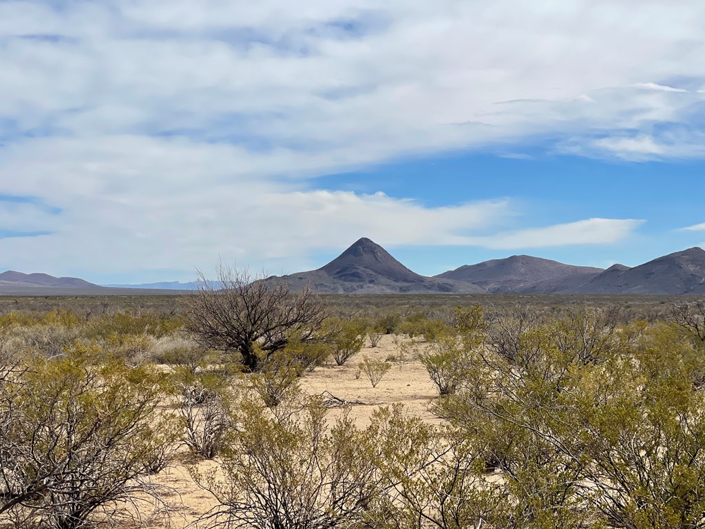 TR:604C Ltm Rd, Terlingua, Texas image 6