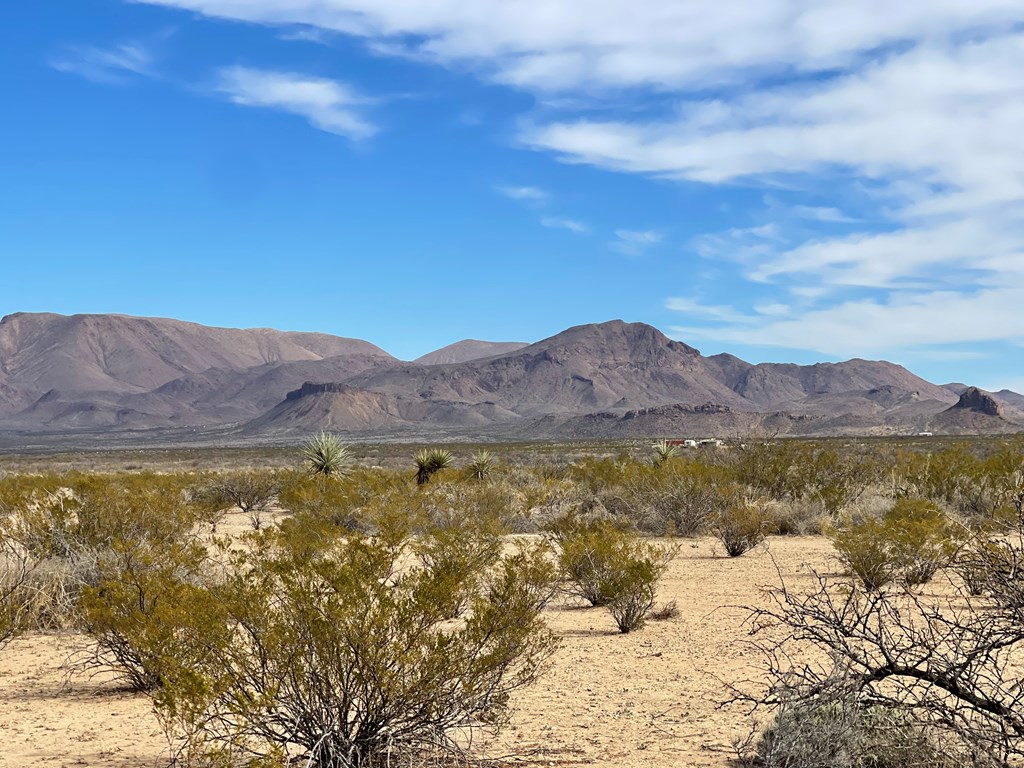 TR:604C Ltm Rd, Terlingua, Texas image 5