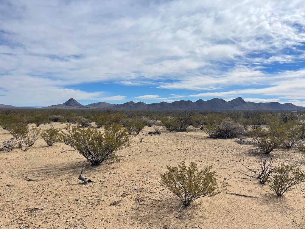 TR:604C Ltm Rd, Terlingua, Texas image 2