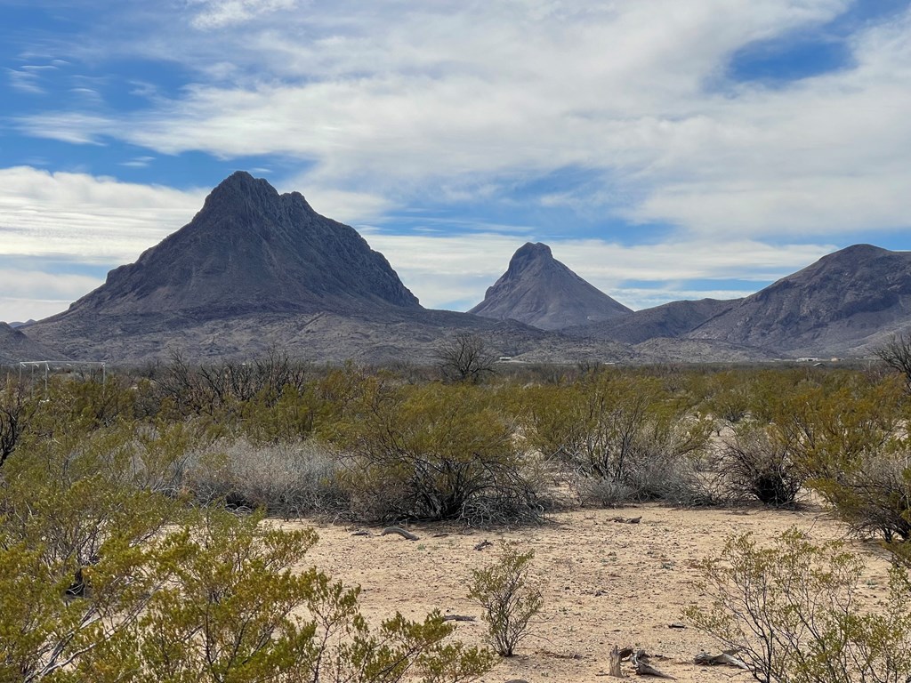 TR:604C Ltm Rd, Terlingua, Texas image 8