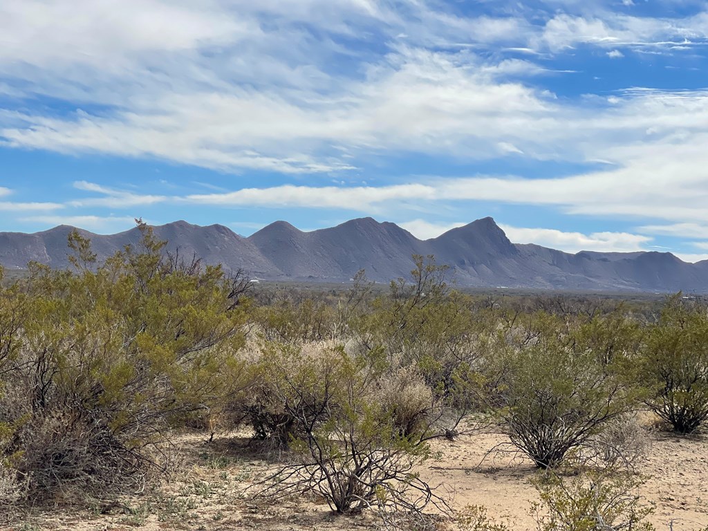 TR:604C Ltm Rd, Terlingua, Texas image 9