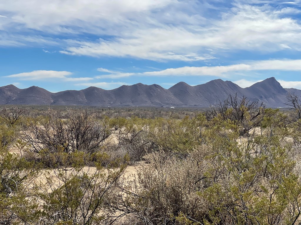 TR:604C Ltm Rd, Terlingua, Texas image 7