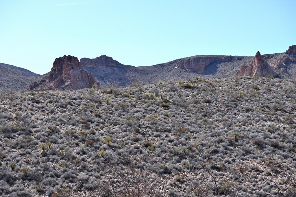 3050 Sandra Road, Terlingua, Texas image 1