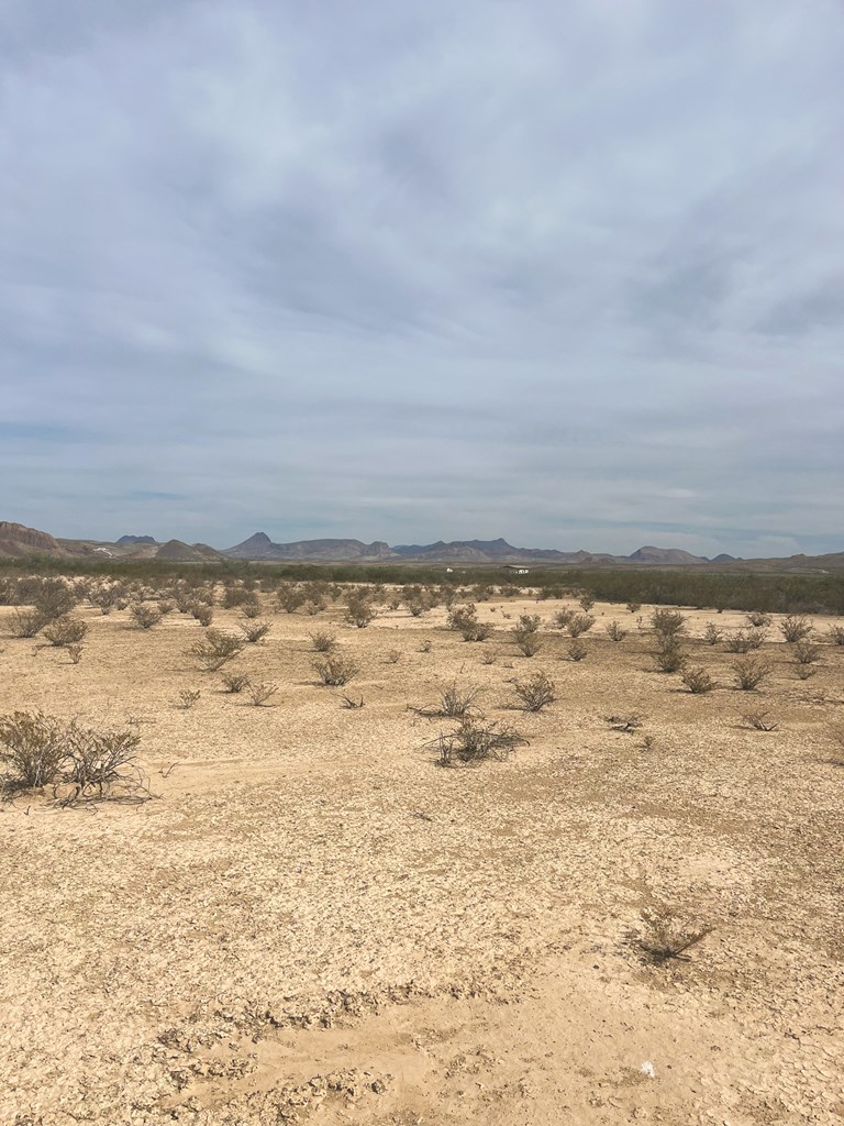 1401 S Digger Rd, Terlingua, Texas image 3