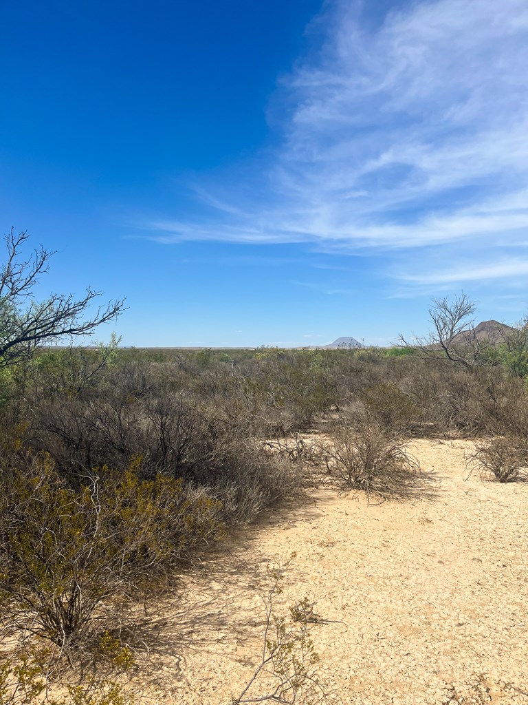 1401 S Digger Rd, Terlingua, Texas image 4