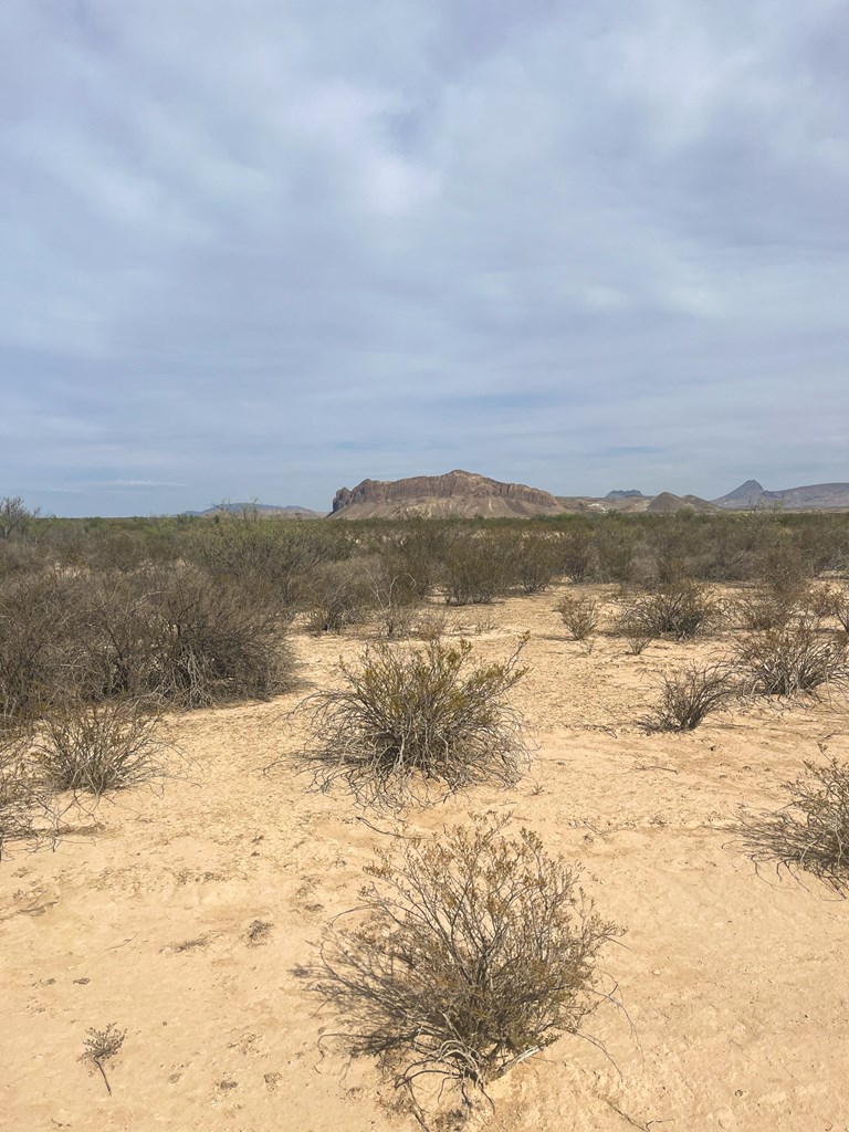 1401 S Digger Rd, Terlingua, Texas image 5