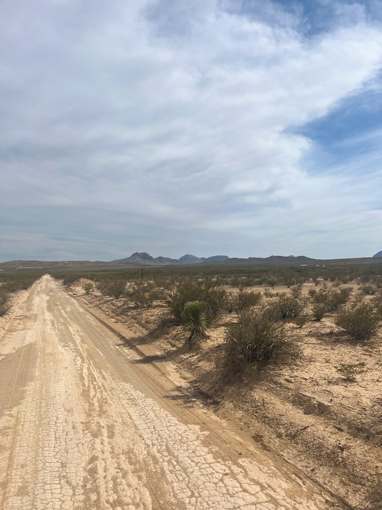 1401 S Digger Rd, Terlingua, Texas image 2